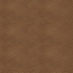 Bolsena Sofa Sleeper - AJ's Home Furniture (Macon, GA)